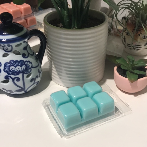 Cinnamon Rolls Wax Melt Tart Warmers Aqua Qty 1 Hand Crafted Final Sale - Picture 4 of 5